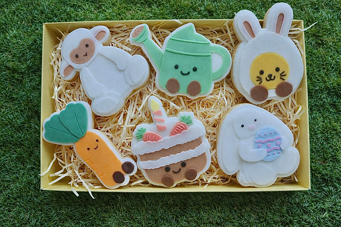Plush Box