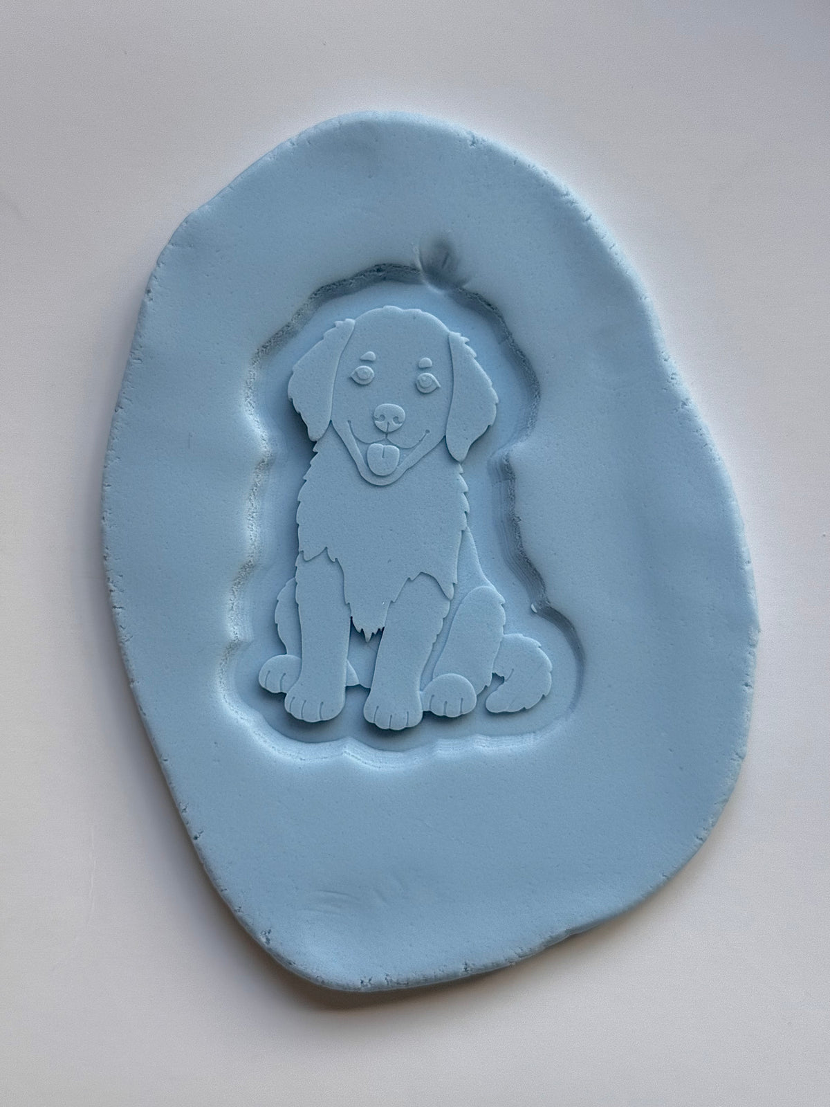 Labrador Puppy