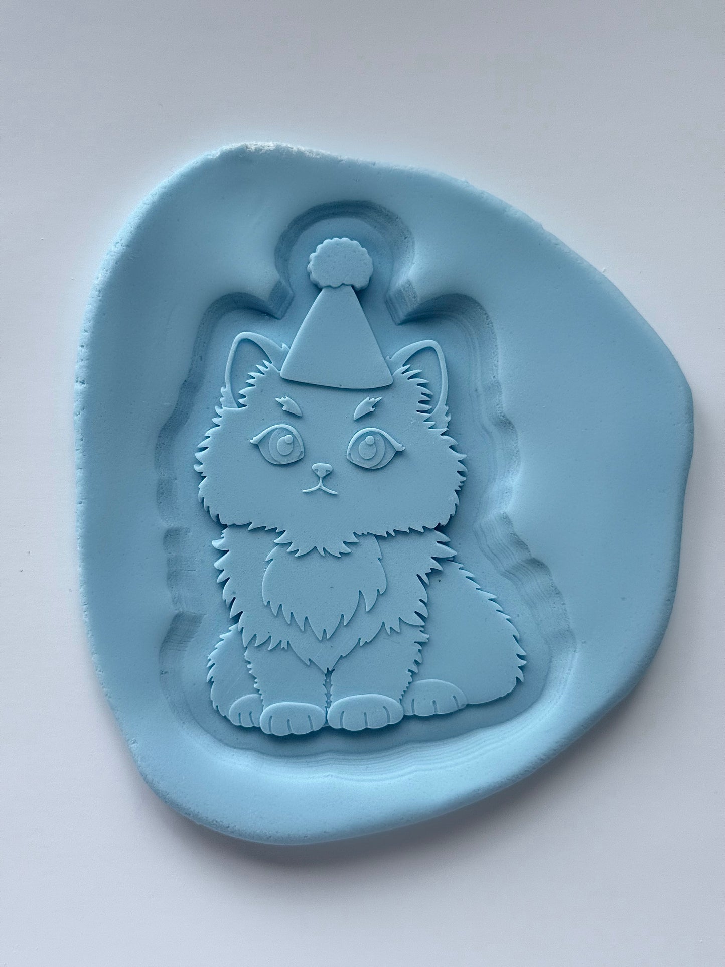 Fluffy Cat in Part Hat
