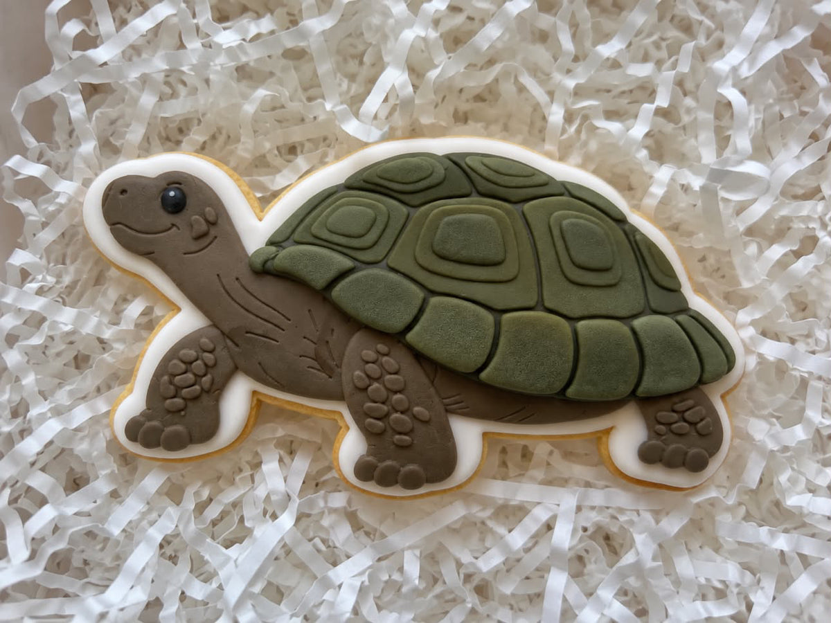 Tortoise