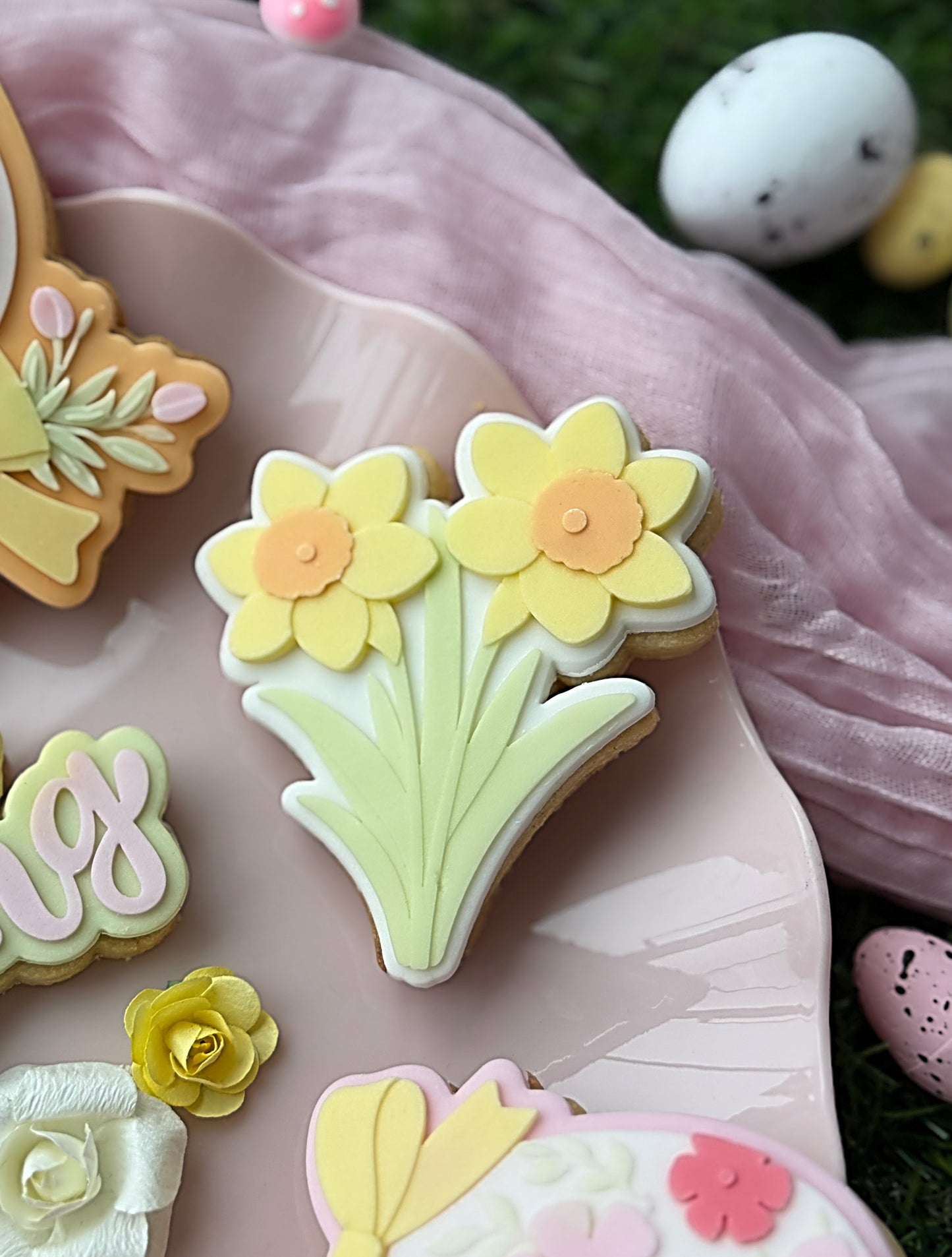 Daffodils