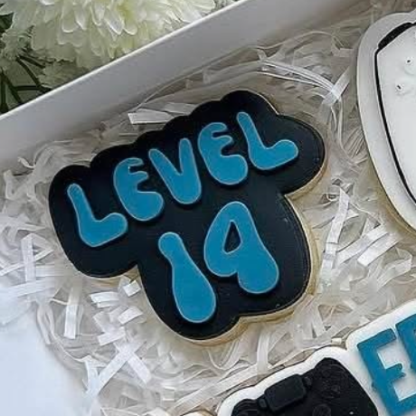 Level 14