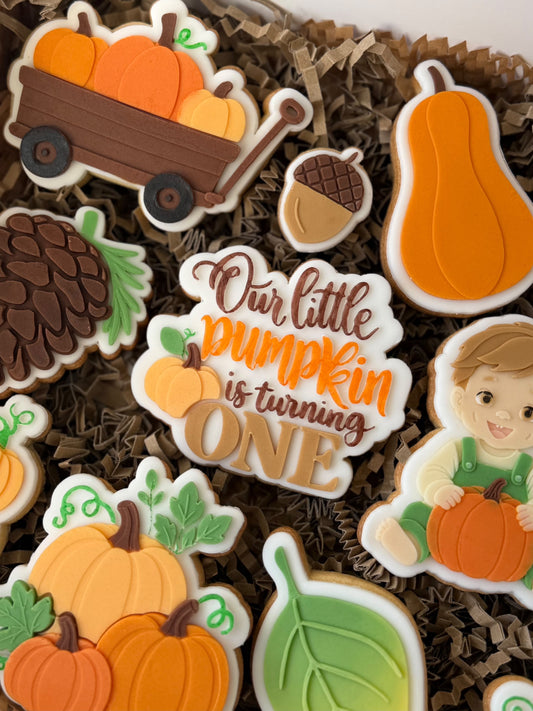 Our Little Pumpkin is One