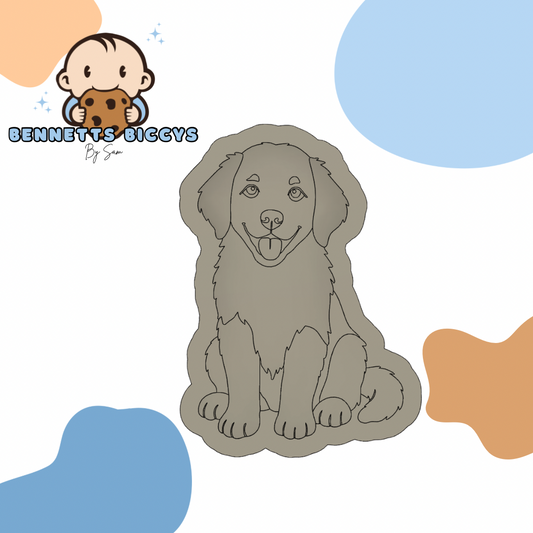 Labrador Puppy