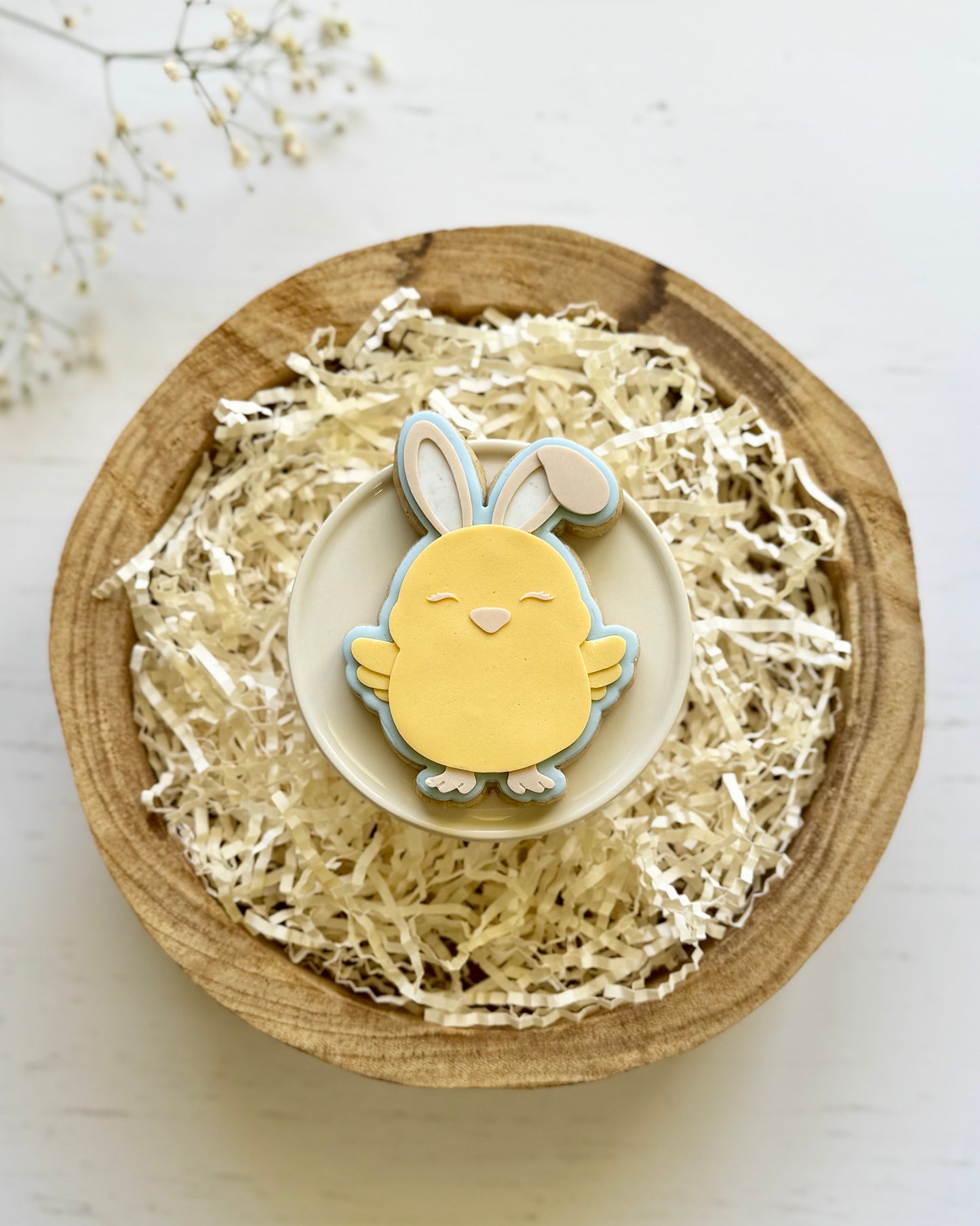 Bunny Chick