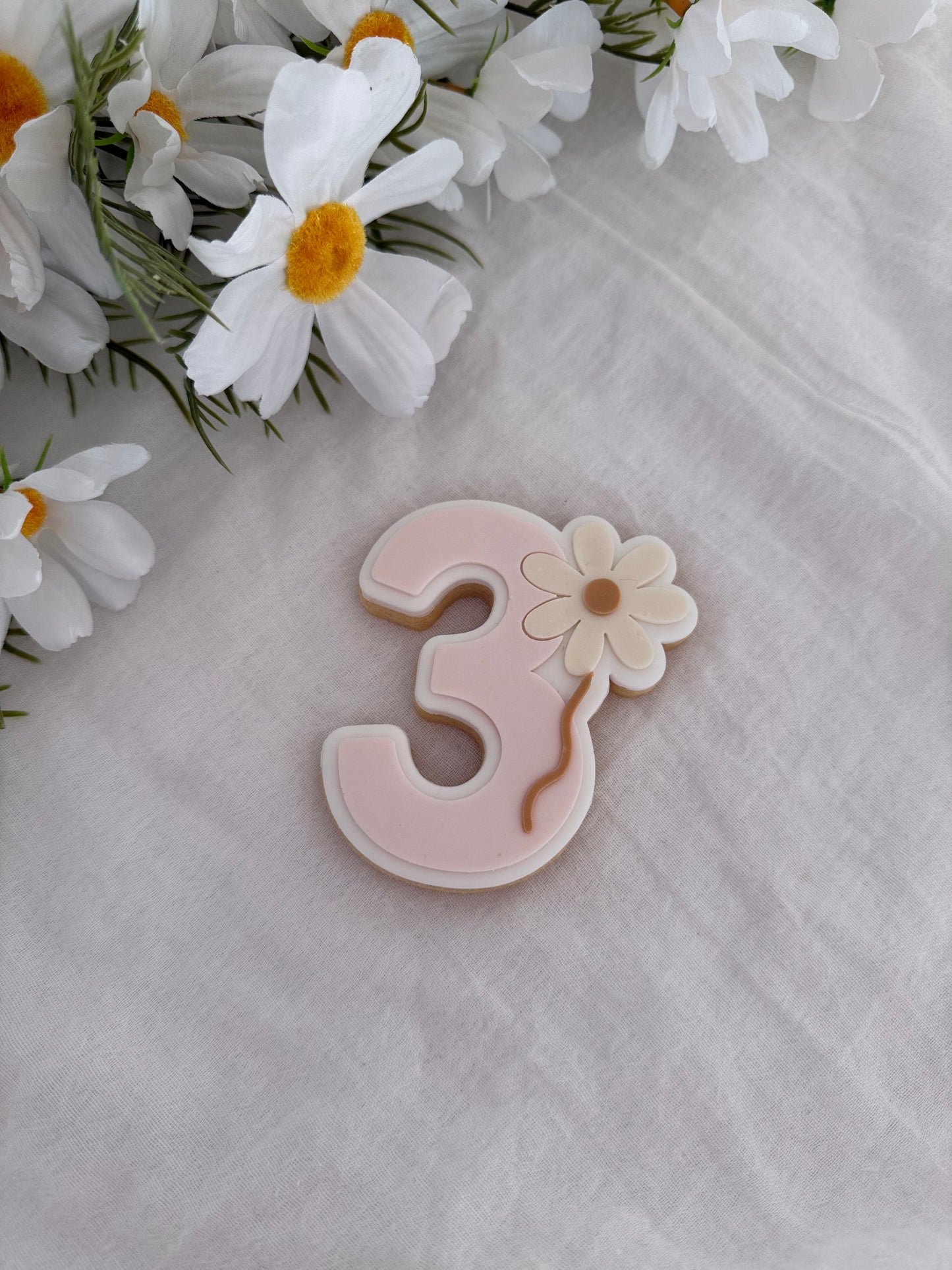 Daisy 3