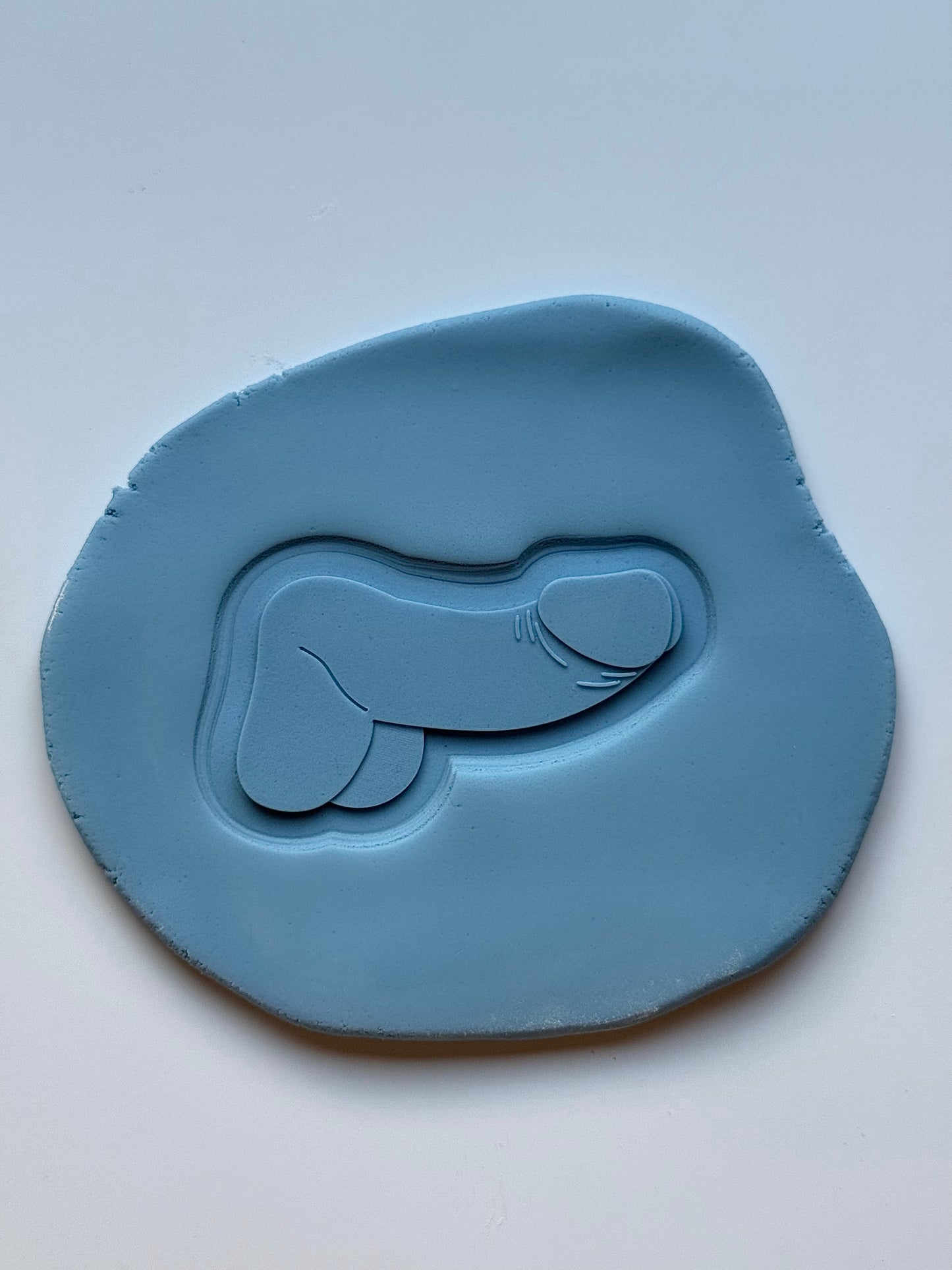 Penis