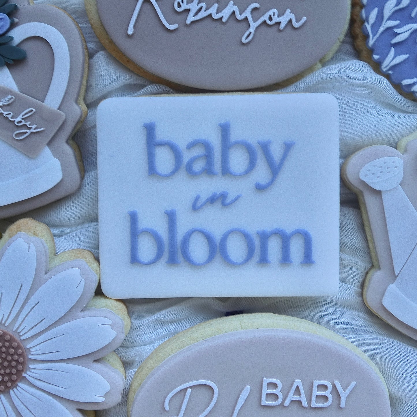 Baby in Bloom