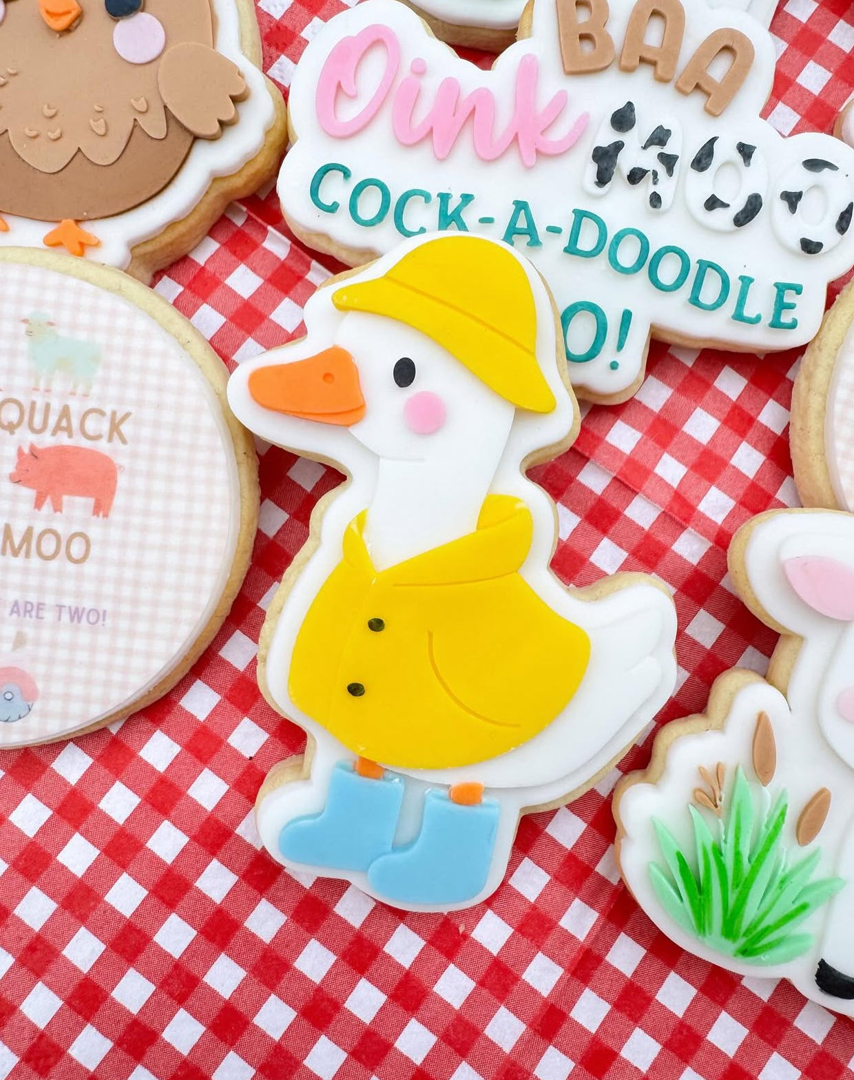 Duck in Raincoat Stamp and Cutter