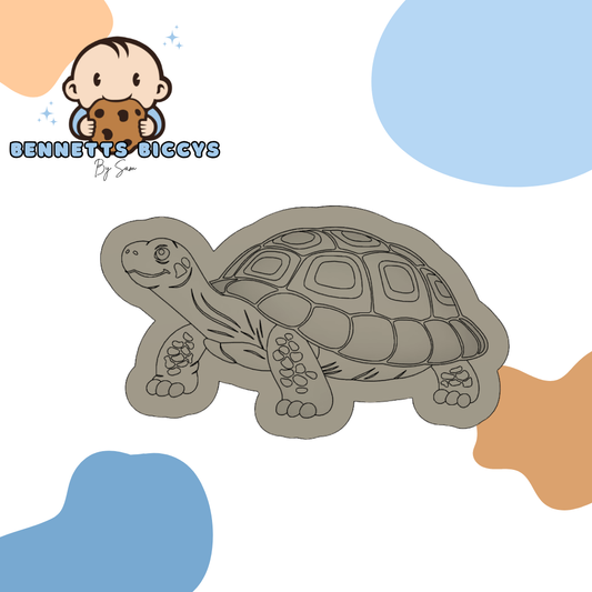 Tortoise