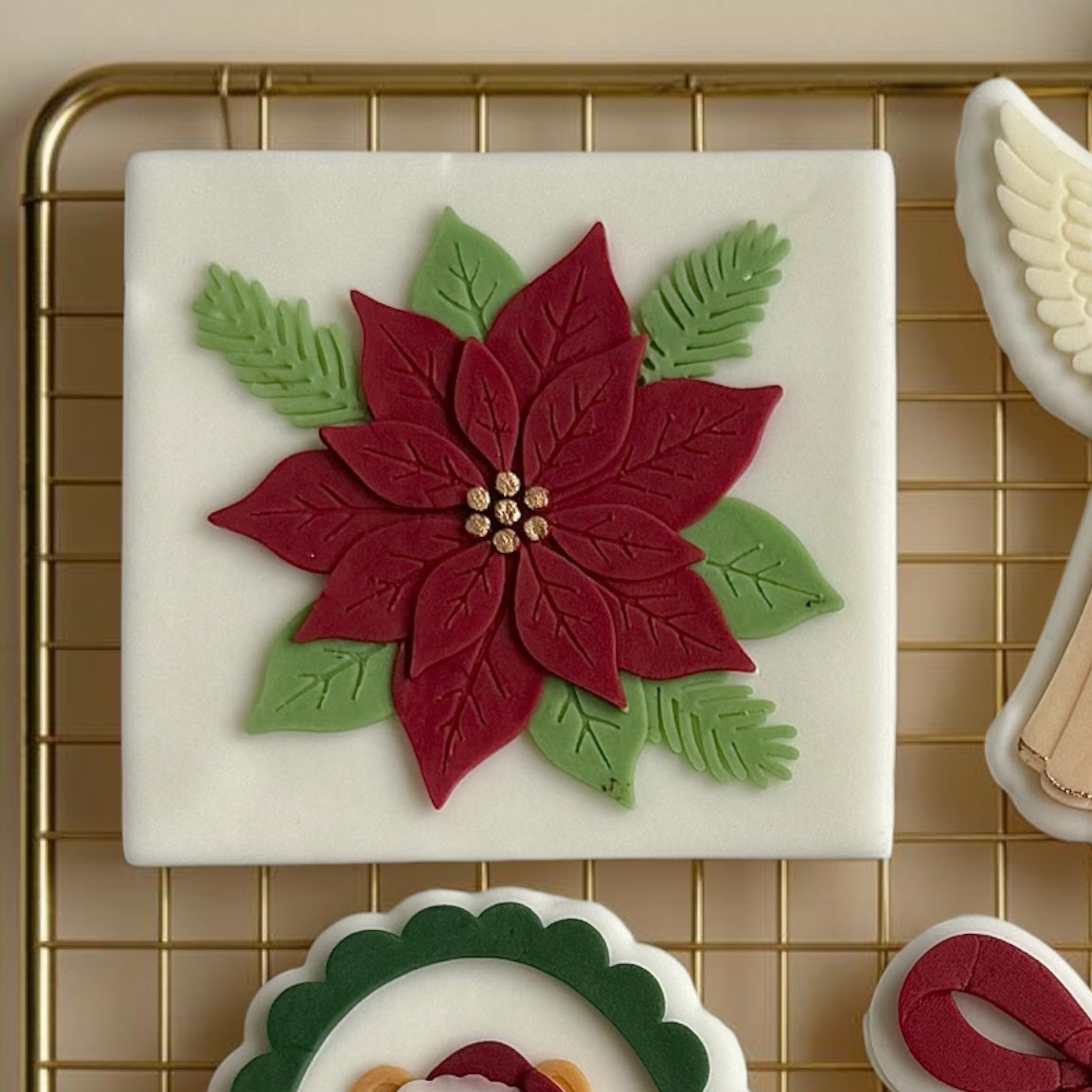 Poinsettia