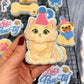 Fluffy Cat in Part Hat