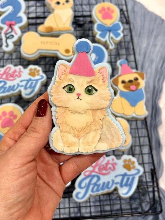 Fluffy Cat in Part Hat