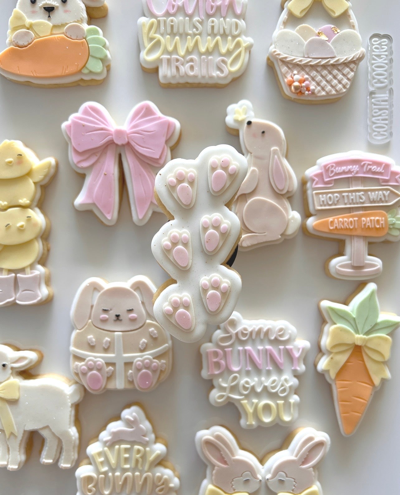Bunny Footprints