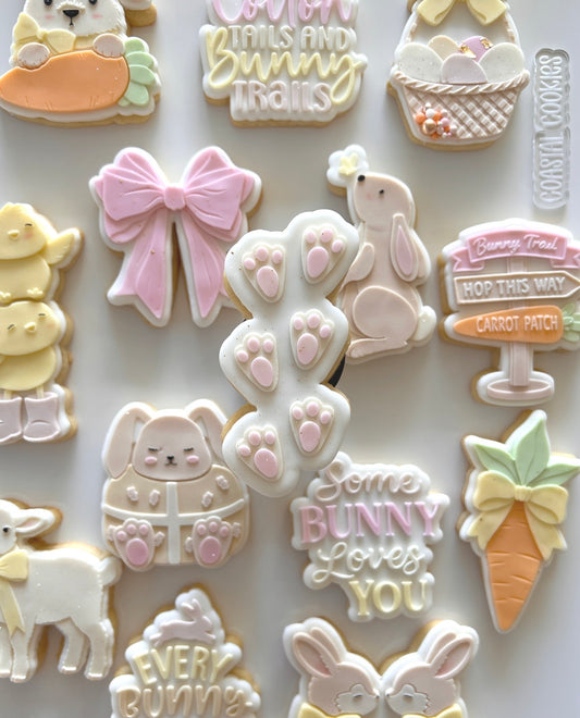 Bunny Footprints
