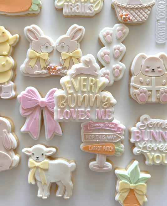 Every Bunny Loves Me