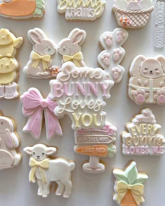 Some Bunny Loves You