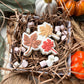 Autumn Leaves Stamp and Cutter